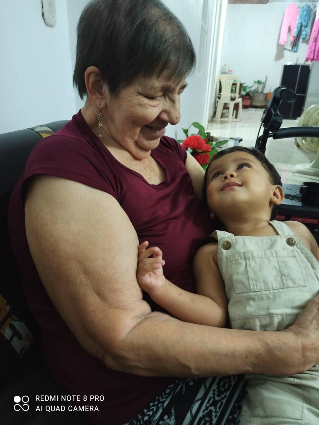 vieja